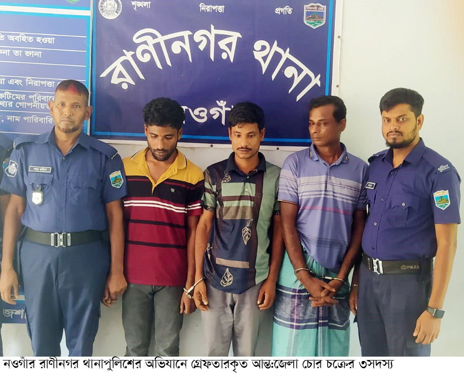 রাণীনগরে থানাপুলিশের অভিযানে ৩ জন গ্রেফতার, উদ্ধার ৫ গরু