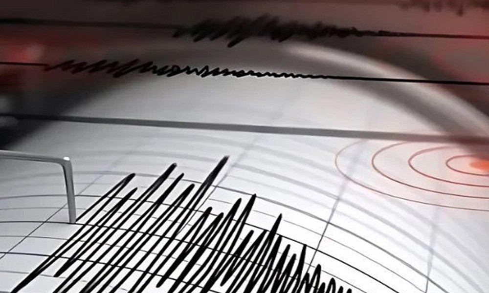 ভূমিকম্পে কেঁপে উঠল দেশ