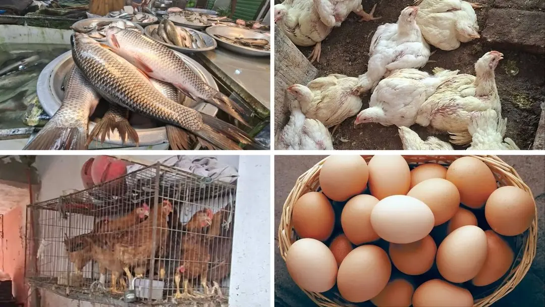 মাছের বাজারে আগুন, হাত দেওয়া যাচ্ছে না মুরগি-ডিমেও