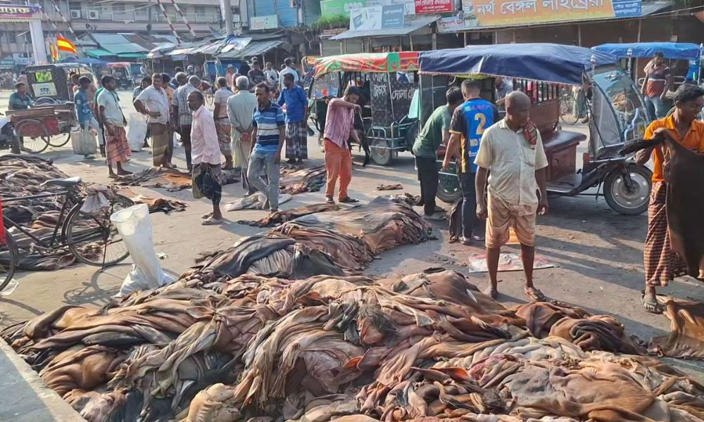 ৩০০ টাকা পিস কেনা চামড়া ১০০ টাকায় বিক্রি