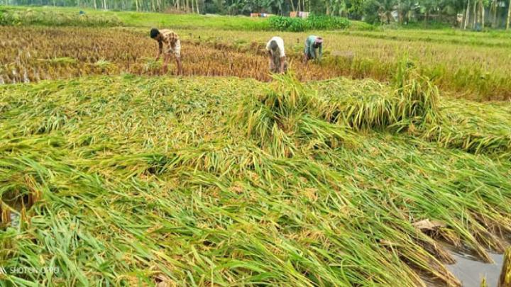 অমিক্রন, কোভিট ২, বাংলাদেশ, স্বাস্থ্য